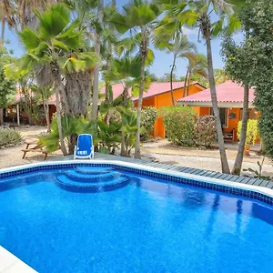 Tropical Divers 3*, Playa Bonaire, Sint Eustatius und Saba